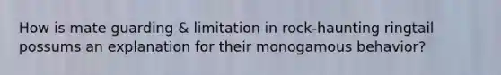 How is mate guarding & limitation in rock-haunting ringtail possums an explanation for their monogamous behavior?