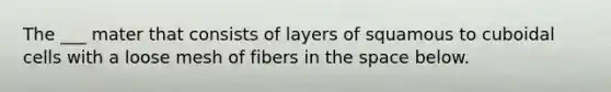 The ___ mater that consists of layers of squamous to cuboidal cells with a loose mesh of fibers in <a href='https://www.questionai.com/knowledge/k0Lyloclid-the-space' class='anchor-knowledge'>the space</a> below.