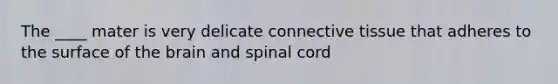 The ____ mater is very delicate connective tissue that adheres to the surface of the brain and spinal cord