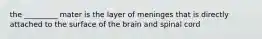 the _________ mater is the layer of meninges that is directly attached to the surface of the brain and spinal cord