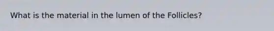 What is the material in the lumen of the Follicles?