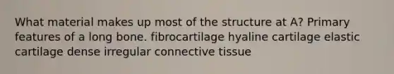 What material makes up most of the structure at A? Primary features of a long bone. fibrocartilage hyaline cartilage elastic cartilage dense irregular connective tissue