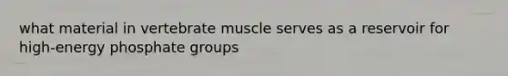 what material in vertebrate muscle serves as a reservoir for high-energy phosphate groups