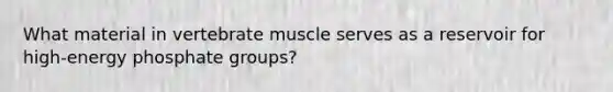 What material in vertebrate muscle serves as a reservoir for high‑energy phosphate groups?