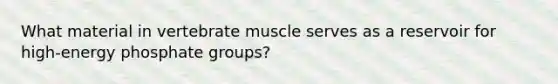 What material in vertebrate muscle serves as a reservoir for high-energy phosphate groups?