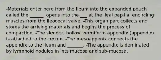 -Materials enter here from the Ileum into the expanded pouch called the ______. opens into the ___ at the ileal papilla. encircling muscles from the ileocecal valve. -This organ part collects and stores the arriving materials and begins the process of compaction. -The slender, hollow vermiform appendix (appendix) is attached to the cecum. -The mesoappenix connects the appendix to the ileum and _______. -The appendix is dominated by lymphoid nodules in ints mucosa and sub-mucosa.