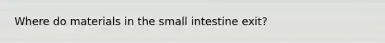 Where do materials in the small intestine exit?