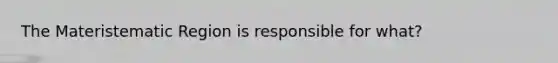 The Materistematic Region is responsible for what?