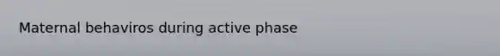 Maternal behaviros during active phase