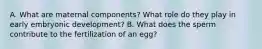 A. What are maternal components? What role do they play in early embryonic development? B. What does the sperm contribute to the fertilization of an egg?