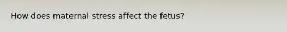 How does maternal stress affect the fetus?