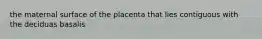 the maternal surface of the placenta that lies contiguous with the deciduas basalis