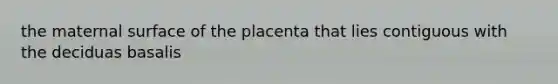 the maternal surface of the placenta that lies contiguous with the deciduas basalis