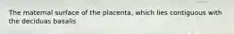 The maternal surface of the placenta, which lies contiguous with the deciduas basalis