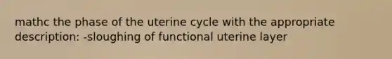 mathc the phase of the uterine cycle with the appropriate description: -sloughing of functional uterine layer