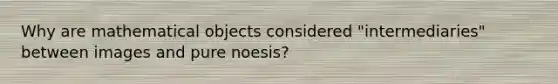 Why are mathematical objects considered "intermediaries" between images and pure noesis?