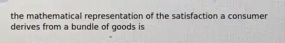 the mathematical representation of the satisfaction a consumer derives from a bundle of goods is