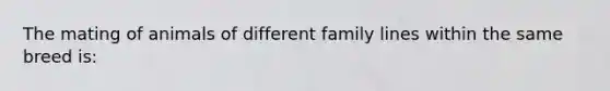 The mating of animals of different family lines within the same breed is: