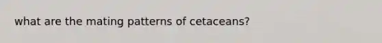 what are the mating patterns of cetaceans?