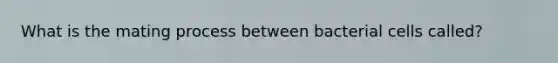 What is the mating process between bacterial cells called?