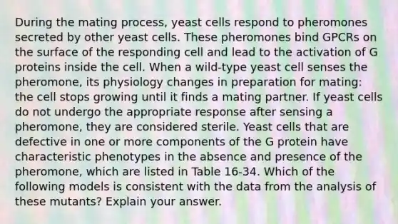 During the mating process, yeast cells respond to pheromones secreted by other yeast cells. These pheromones bind GPCRs on the surface of the responding cell and lead to the activation of G proteins inside the cell. When a wild-type yeast cell senses the pheromone, its physiology changes in preparation for mating: the cell stops growing until it finds a mating partner. If yeast cells do not undergo the appropriate response after sensing a pheromone, they are considered sterile. Yeast cells that are defective in one or more components of the G protein have characteristic phenotypes in the absence and presence of the pheromone, which are listed in Table 16-34. Which of the following models is consistent with the data from the analysis of these mutants? Explain your answer.