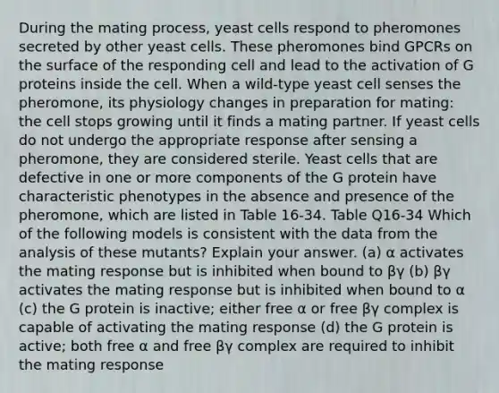 During the mating process, yeast cells respond to pheromones secreted by other yeast cells. These pheromones bind GPCRs on the surface of the responding cell and lead to the activation of G proteins inside the cell. When a wild-type yeast cell senses the pheromone, its physiology changes in preparation for mating: the cell stops growing until it finds a mating partner. If yeast cells do not undergo the appropriate response after sensing a pheromone, they are considered sterile. Yeast cells that are defective in one or more components of the G protein have characteristic phenotypes in the absence and presence of the pheromone, which are listed in Table 16-34. Table Q16-34 Which of the following models is consistent with the data from the analysis of these mutants? Explain your answer. (a) α activates the mating response but is inhibited when bound to βγ (b) βγ activates the mating response but is inhibited when bound to α (c) the G protein is inactive; either free α or free βγ complex is capable of activating the mating response (d) the G protein is active; both free α and free βγ complex are required to inhibit the mating response