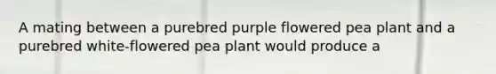 A mating between a purebred purple flowered pea plant and a purebred white-flowered pea plant would produce a