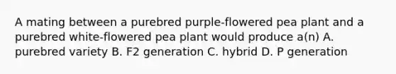 A mating between a purebred purple-flowered pea plant and a purebred white-flowered pea plant would produce a(n) A. purebred variety B. F2 generation C. hybrid D. P generation