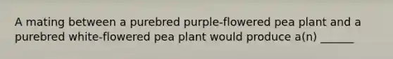 A mating between a purebred purple-flowered pea plant and a purebred white-flowered pea plant would produce a(n) ______