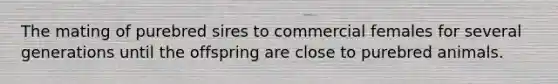 The mating of purebred sires to commercial females for several generations until the offspring are close to purebred animals.