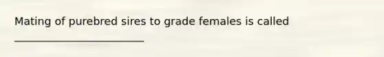 Mating of purebred sires to grade females is called ________________________