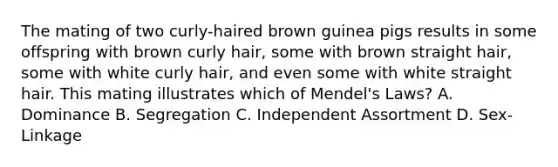 The mating of two curly-haired brown guinea pigs results in some offspring with brown curly hair, some with brown straight hair, some with white curly hair, and even some with white straight hair. This mating illustrates which of Mendel's Laws? A. Dominance B. Segregation C. Independent Assortment D. Sex-Linkage