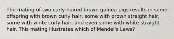 The mating of two curly-haired brown guinea pigs results in some offspring with brown curly hair, some with brown straight hair, some with white curly hair, and even some with white straight hair. This mating illustrates which of Mendel's Laws?