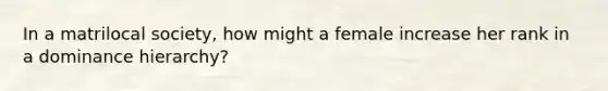 In a matrilocal society, how might a female increase her rank in a dominance hierarchy?