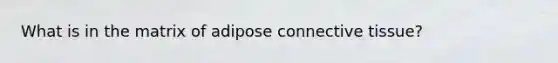 What is in the matrix of adipose connective tissue?