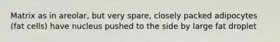 Matrix as in areolar, but very spare, closely packed adipocytes (fat cells) have nucleus pushed to the side by large fat droplet