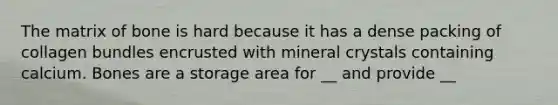 The matrix of bone is hard because it has a dense packing of collagen bundles encrusted with mineral crystals containing calcium. Bones are a storage area for __ and provide __