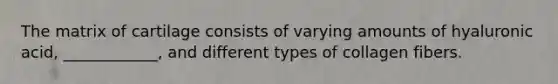 The matrix of cartilage consists of varying amounts of hyaluronic acid, ____________, and different types of collagen fibers.