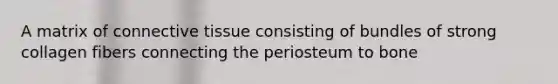 A matrix of connective tissue consisting of bundles of strong collagen fibers connecting the periosteum to bone