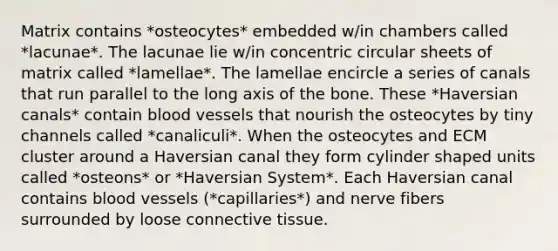 Matrix contains *osteocytes* embedded w/in chambers called *lacunae*. The lacunae lie w/in concentric circular sheets of matrix called *lamellae*. The lamellae encircle a series of canals that run parallel to the long axis of the bone. These *Haversian canals* contain blood vessels that nourish the osteocytes by tiny channels called *canaliculi*. When the osteocytes and ECM cluster around a Haversian canal they form cylinder shaped units called *osteons* or *Haversian System*. Each Haversian canal contains blood vessels (*capillaries*) and nerve fibers surrounded by loose connective tissue.