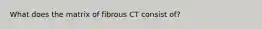 What does the matrix of fibrous CT consist of?