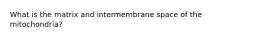 What is the matrix and intermembrane space of the mitochondria?