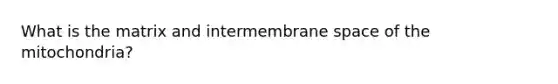 What is the matrix and intermembrane space of the mitochondria?