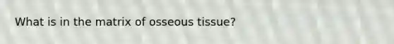 What is in the matrix of osseous tissue?