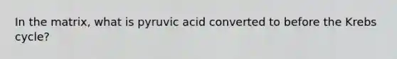 In the matrix, what is pyruvic acid converted to before the Krebs cycle?