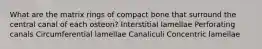 What are the matrix rings of compact bone that surround the central canal of each osteon? Interstitial lamellae Perforating canals Circumferential lamellae Canaliculi Concentric lamellae