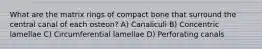 What are the matrix rings of compact bone that surround the central canal of each osteon? A) Canaliculi B) Concentric lamellae C) Circumferential lamellae D) Perforating canals