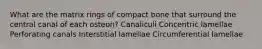 What are the matrix rings of compact bone that surround the central canal of each osteon? Canaliculi Concentric lamellae Perforating canals Interstitial lamellae Circumferential lamellae