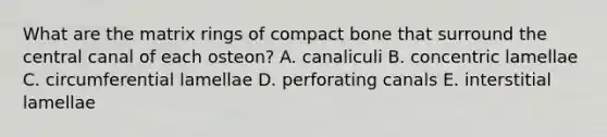 What are the matrix rings of compact bone that surround the central canal of each osteon? A. canaliculi B. concentric lamellae C. circumferential lamellae D. perforating canals E. interstitial lamellae