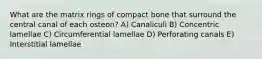 What are the matrix rings of compact bone that surround the central canal of each osteon? A) Canaliculi B) Concentric lamellae C) Circumferential lamellae D) Perforating canals E) Interstitial lamellae